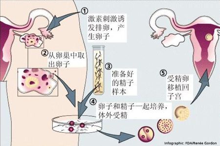 中心环境